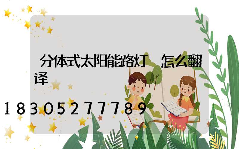 分体式太阳能路灯 怎么翻译